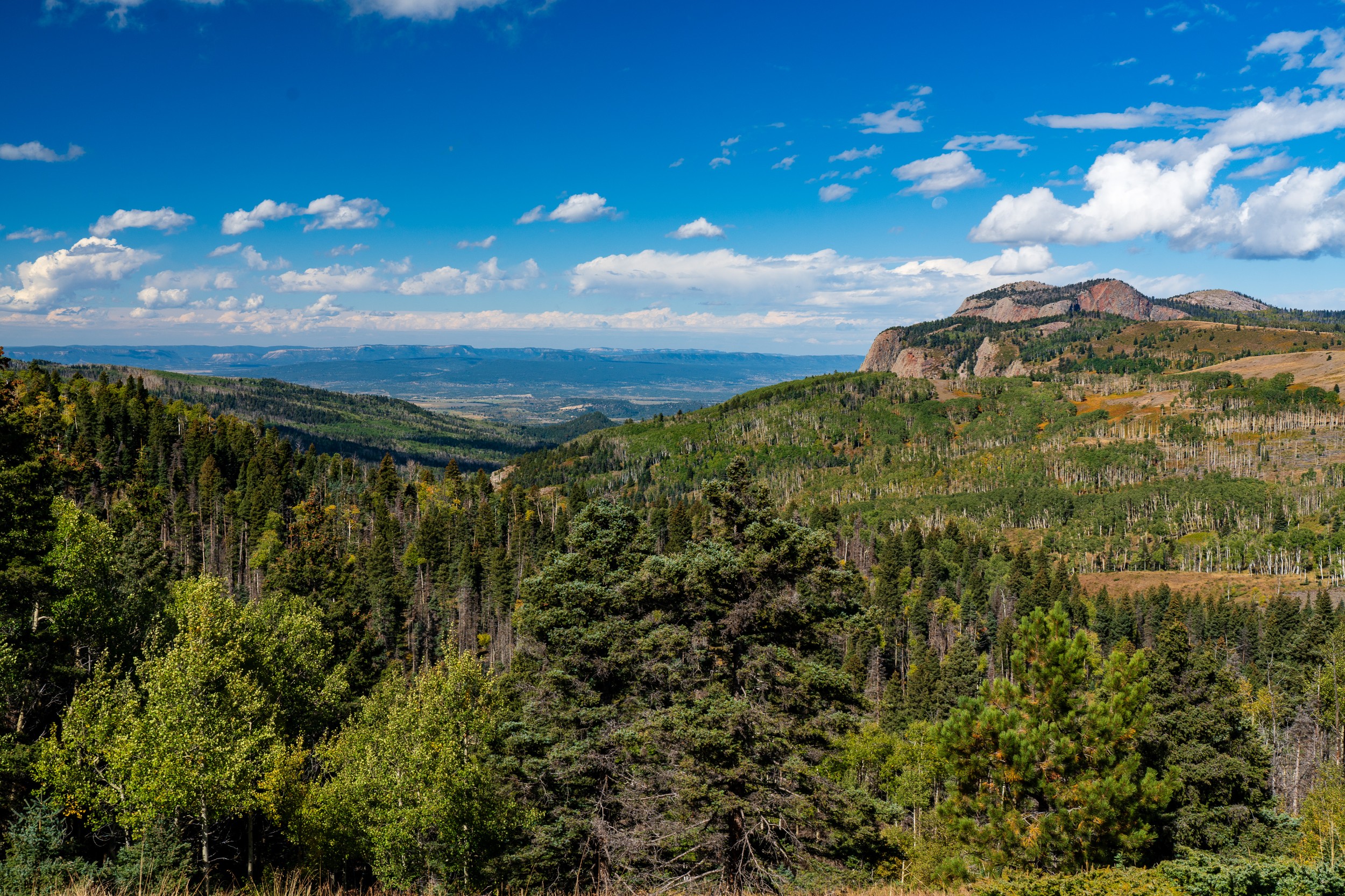 USA 2024 5 Sterne 42